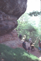 sandstones